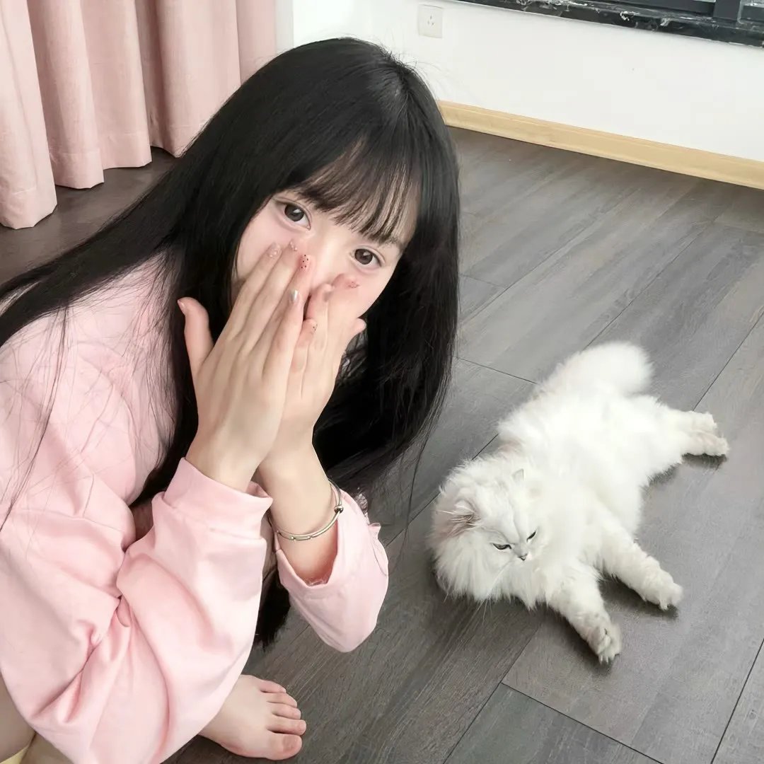 大小姐归来之唯一继承人